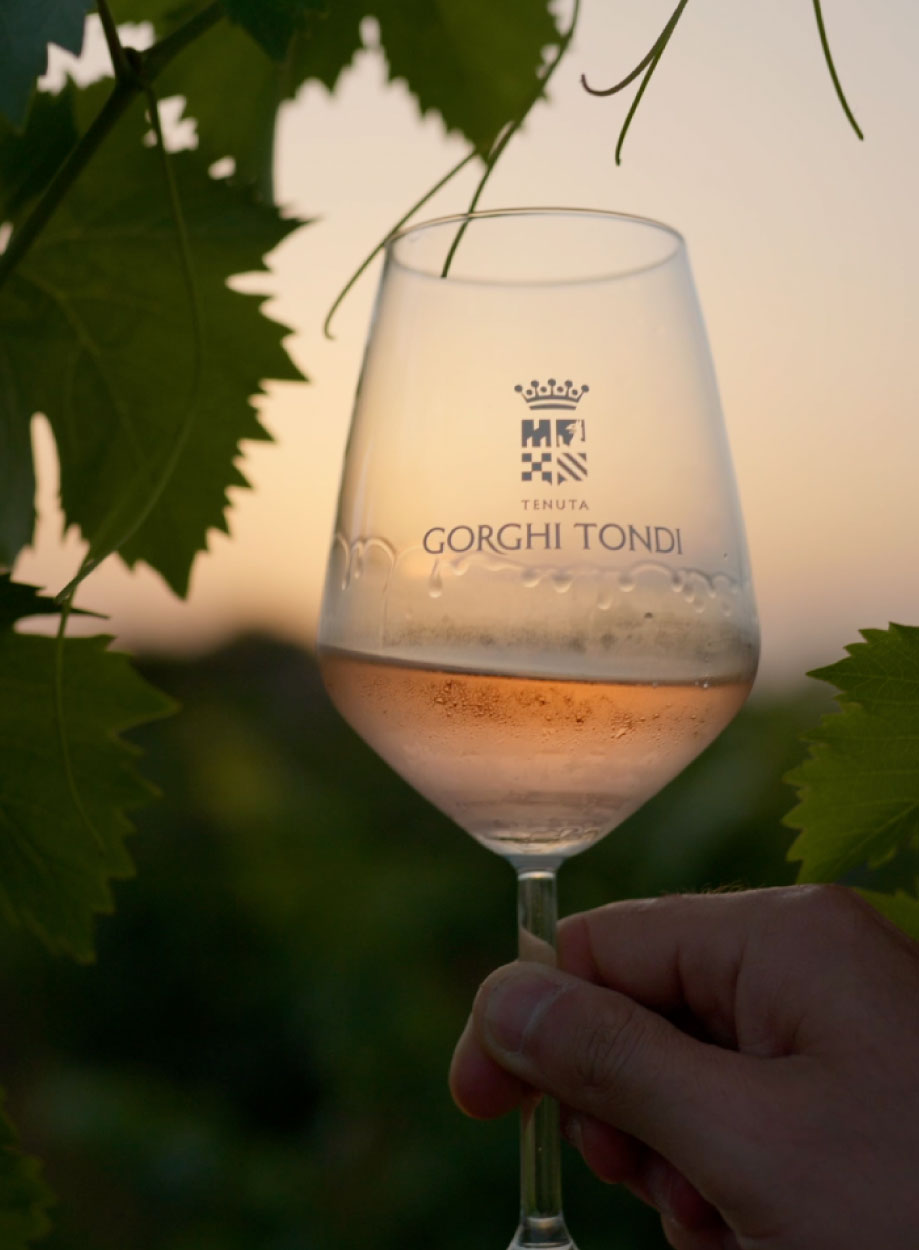 calice di vino Gorghi Tondi su sfondo sfuocato delle vigne