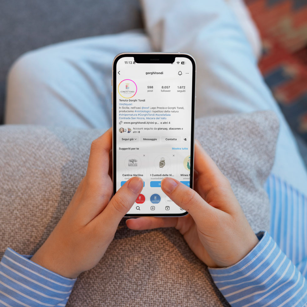 visualizzazione da smartphone pagina instagram Gorghi Tondi