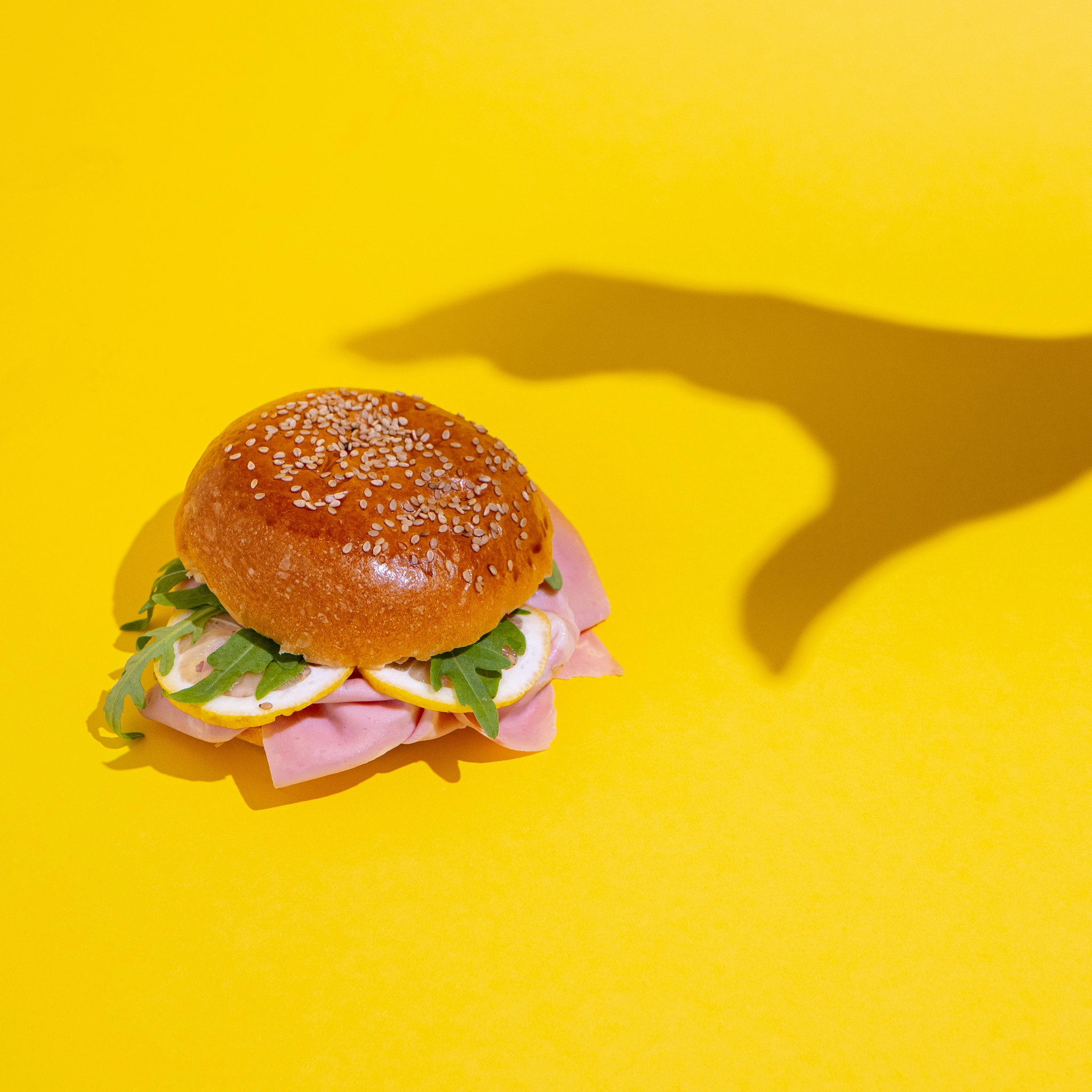 campagna pubblicitaria per panini da hamburger Frolsi